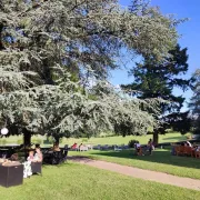 Les déjeuners sur l\'herbe, brunch !