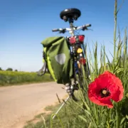 Les Echappées à vélo : A la découverte du Pays Giennois