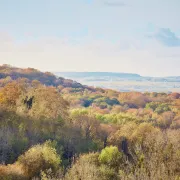 Les échappées nature de l’Office de tourisme : Promenade automnale en Forêt de Saint Gobain