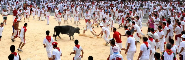 Course des vaches de la Fête de Bayonne