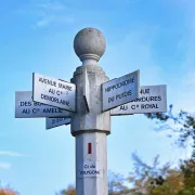 Les forêts du Compiégnois, à Venette