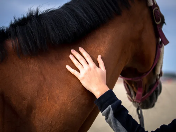 Les Franciscaines au galop : Camillle Vercken