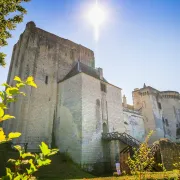 Les insolites du donjon