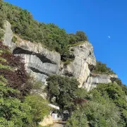 Les jeudis du musée : Les secrets de l'abri Cro-Magnon : dernières actualités