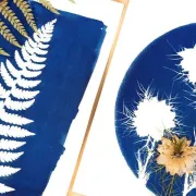 Les lundis de l'été : Atelier cyanotype