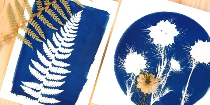 Les lundis de l'été : Atelier cyanotype