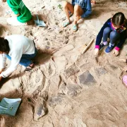 Les lundis de l'été : Chantier d'initiation à l'archéologie