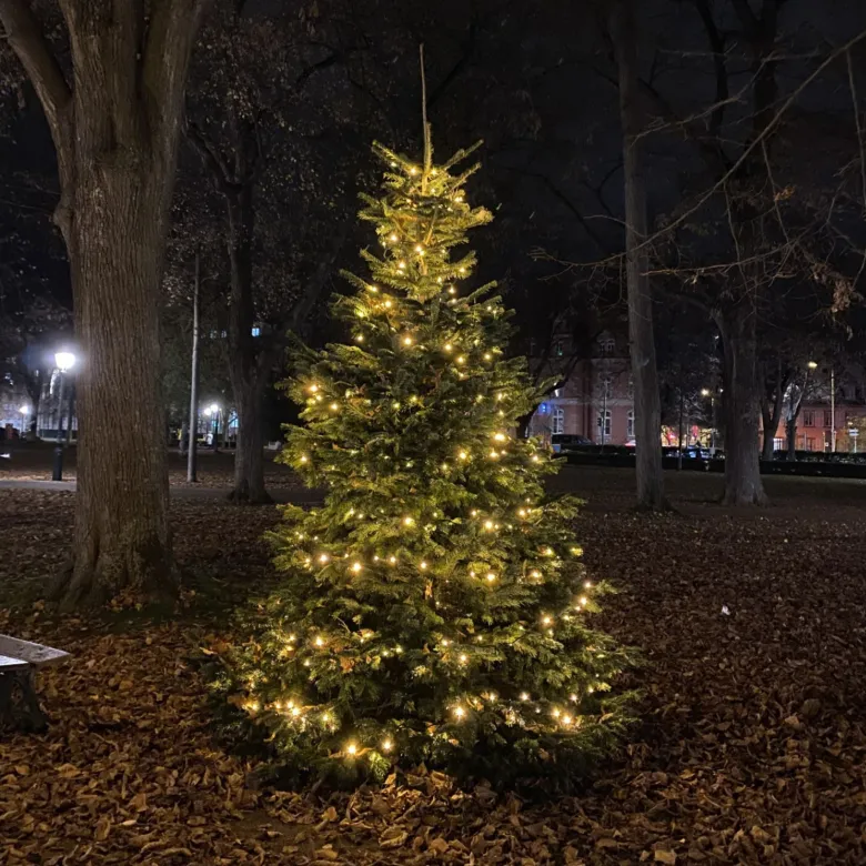 Noël à Colmar