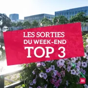 Les meilleures idées sorties du week-end à Mulhouse