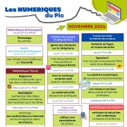 Les Numériques Du Pic - Novembre