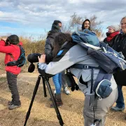 Les oiseaux de la Petite Camargue