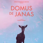 Les Rencontres Du Film D'Art : Domus De Janas