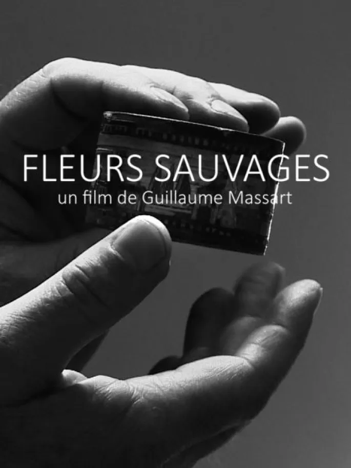 Les Rencontres Du Film D'Art : Fleurs Sauvages