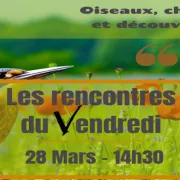 Les Rencontres Du Vendredi - Oiseaux, Chants Et Découverte