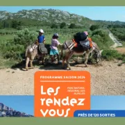 Les Rendez-vous du Parc des Alpilles - Le Jour de la Nuit