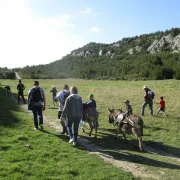 Les rendez-vous du Parc des Alpilles - Les Caisses de Jean-Jean