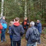 LES SORTIES NATURE - LE MYSTÈRE DE NOS FORÊTS - OT-MEG