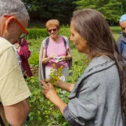 LES SORTIES NATURE - LES PLANTES ET LA SORCELLERIE - OT-MEG