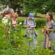 LES SORTIES NATURE - LES PLANTES MÉDICINALES - OT-MEG