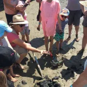 Les trésors de la plage