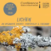 Lichen un organisme discret, mystérieux et fascinant