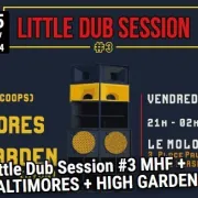 Little Dub Session #3 MHF + BALTIMORES + HIGH GARDEN