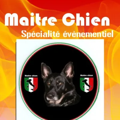 Maitre chien Alsace