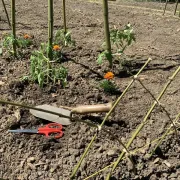 Malagar Autrement - Atelier taille du jardin