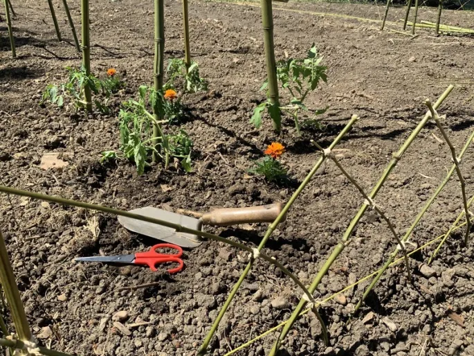 Malagar Autrement - Atelier taille du jardin