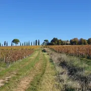 Malagar autrement - Entre les vignes, Mauriac et Toulouse-Lautrec