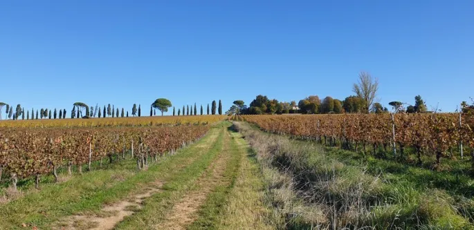 Malagar autrement - Entre les vignes, Mauriac et Toulouse-Lautrec