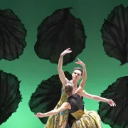 Malandain Ballet Biarritz - \