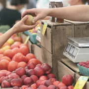 Marché à Le Dorat