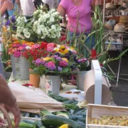 Marché à Meyssac