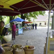 Marché à Saint-Germain-du-Bel-Air