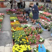 Marché aux fleurs de Bazas