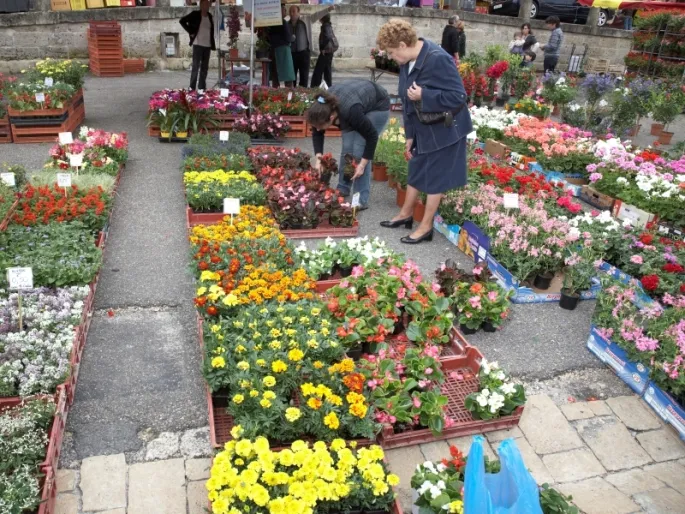 Marché aux fleurs de Bazas