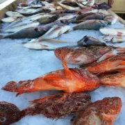 Marché aux Poissons