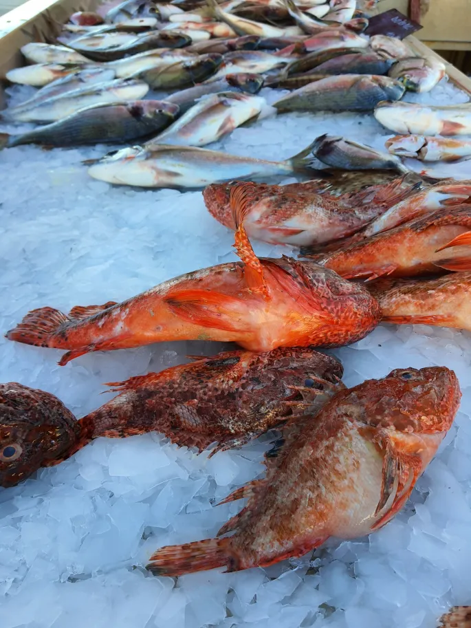 Marché aux Poissons