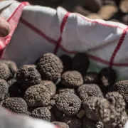 Marché aux Truffes