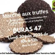 Marché aux truffes d'été