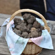 Marché aux truffes de Capdenac