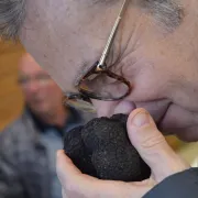 Marché aux truffes de Sainte Alvère