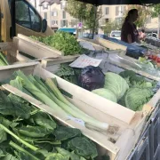 Marché - Condat-sur-Vienne