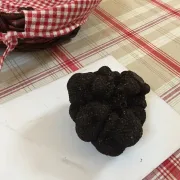 Marché contrôlé de producteurs locaux de truffes