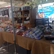 Marché d\'automne à Martigues