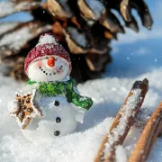 Marché d'hiver et brocante