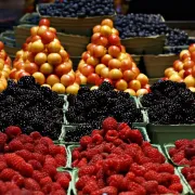 Marché d'Ouzouer-sur-Loire - Dimanche