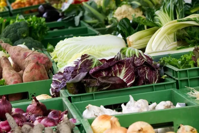 Marché d'Ouzouer-sur-Trézée - Dimanche