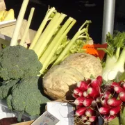 Marché de Beaulieu-sur-Loire - Mercredi